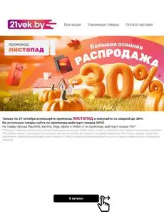 Акционная газета 21vek.by, действующая с 2024-10-24 по 2024-10-27.