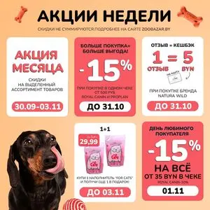 Акционная газета Zoobazar.by, действующая с 2024-10-30 по 2024-11-03.