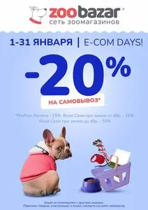 Акционная газета Zoobazar.by, действующая с 2025-01-01 по 2025-01-31.