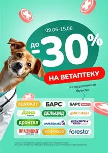 Акционная газета Zoobazar.by, действующая с 2025-06-10 по 2025-06-15.