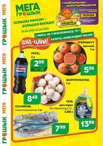 Акционная газета Грошык, действующая с 2025-06-09 по 2025-06-22.