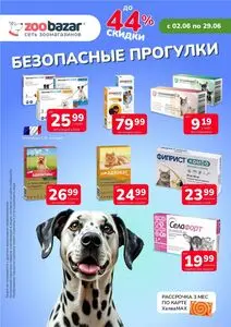 Акционная газета Zoobazar.by, действующая с 2025-06-02 по 2025-06-29.