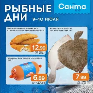 Санта