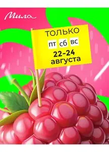 Акционная газета Мила, действующая с 2025-08-22 по 2025-08-24.
