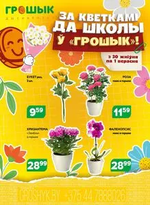Акционная газета Грошык, действующая с 2025-08-30 по 2025-09-01.