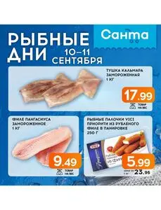 Акционная газета Санта, действующая с 2025-09-10 по 2025-09-11.
