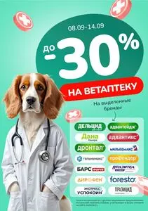 Акционная газета Zoobazar.by, действующая с 2025-09-08 по 2025-09-14.