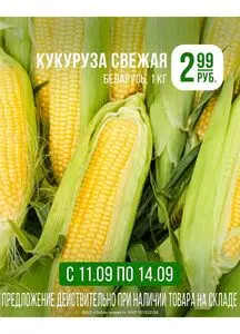 Акционная газета Корона, действующая с 2025-09-11 по 2025-09-14.