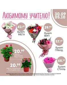 Гиппо