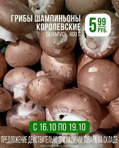 Акционная газета Корона, действующая с 2025-10-16 по 2025-10-19.