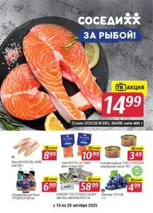 Акционная газета Соседи, действующая с 2025-10-15 по 2025-10-28.