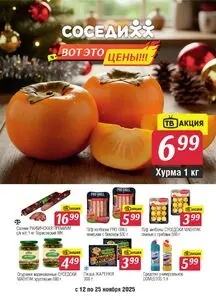 Акционная газета Соседи, действующая с 2025-11-12 по 2025-11-25.