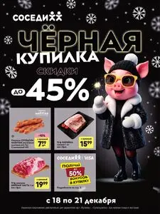 Акционная газета Соседи, действующая с 2025-12-18 по 2025-12-21.