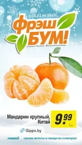 Акционная газета Гиппо, действующая с 2026-01-05 по 2026-01-18.