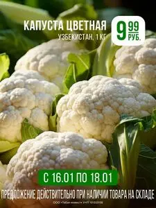 Акционная газета Корона, действующая с 2026-01-16 по 2026-01-18.