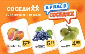 Акционная газета Соседи, действующая с 2026-01-29 по 2026-02-01.