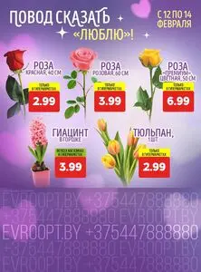 Акционная газета Евроопт, действующая с 2026-02-12 по 2026-02-14.