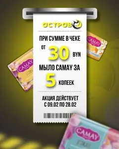 Акционная газета Остров чистоты, действующая с 2026-02-10 по 2026-02-28.