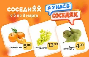 Акционная газета Соседи, действующая с 2026-03-05 по 2026-03-08.