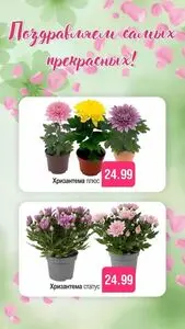 Акционная газета Белмаркет, действующая с 2026-03-06 по 2026-03-08.