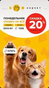 Акционная газета ZOOмаркет, действующая с 2026-03-16 по 2026-03-16.