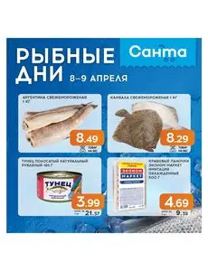 Акционная газета Санта, действующая с 2026-04-08 по 2026-04-09.