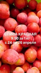 Акционная газета Ніка, действующая с 2026-04-24 по 2026-04-26.