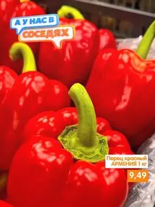 Акционная газета Соседи, действующая с 2026-04-24 по 2026-04-26.