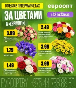 Акционная газета Евроопт, действующая с 2026-05-22 по 2026-05-23.