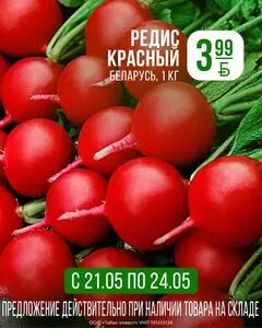 Корона
