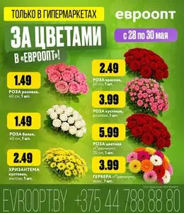 Акционная газета Евроопт, действующая с 2026-05-29 по 2026-05-30.