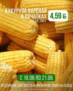 Корона