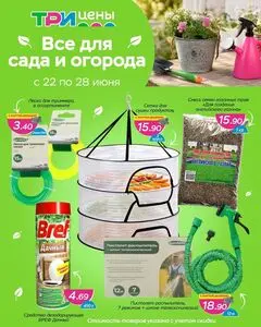 ТРИ ЦЕНЫ!