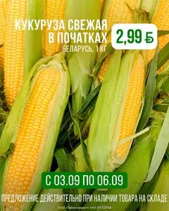 Акционная газета Корона, действующая с 2026-09-03 по 2026-09-06.