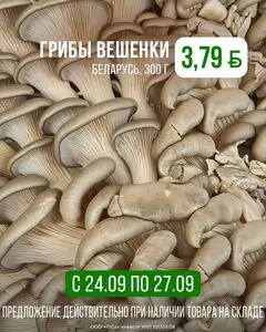 Корона